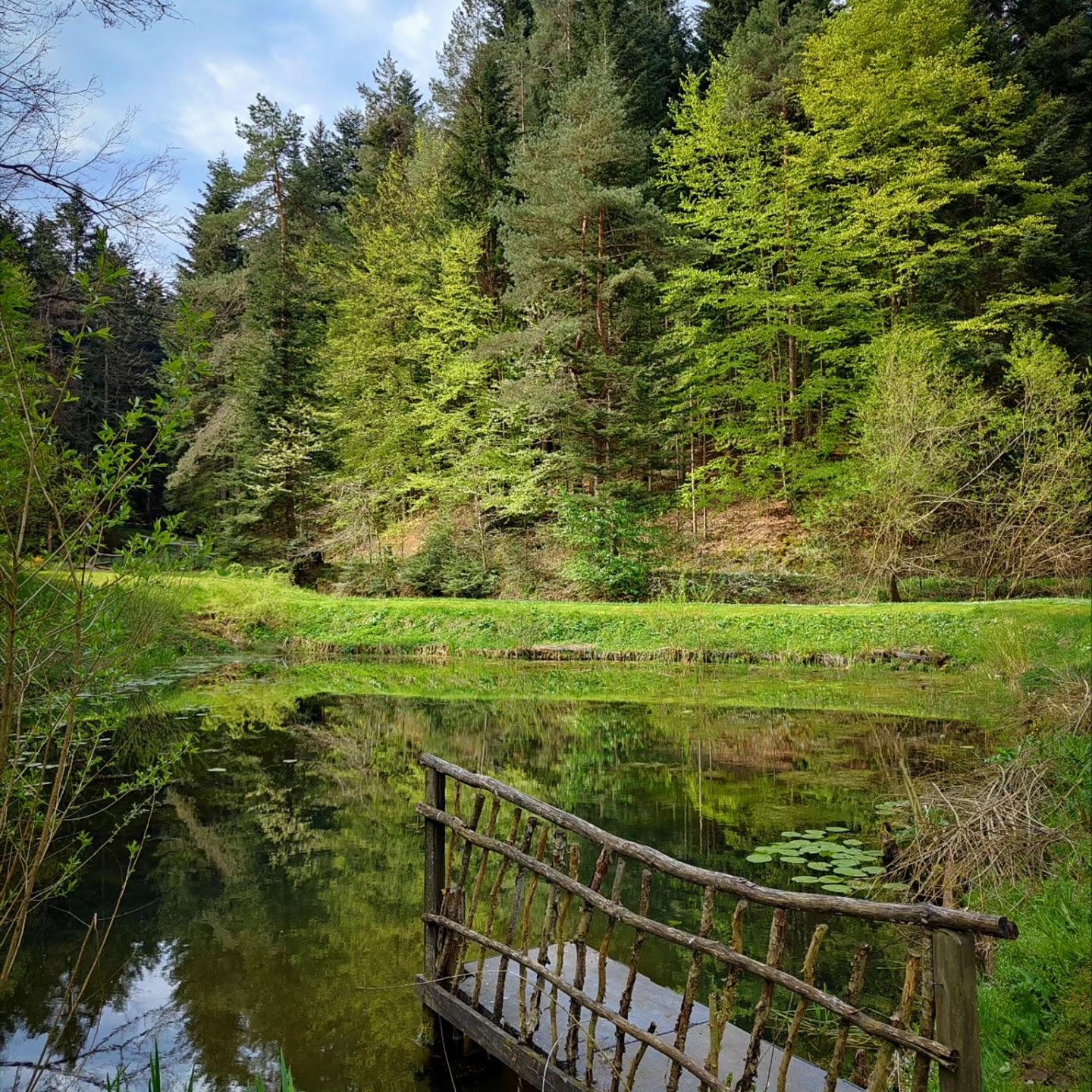Widok na dolny staw